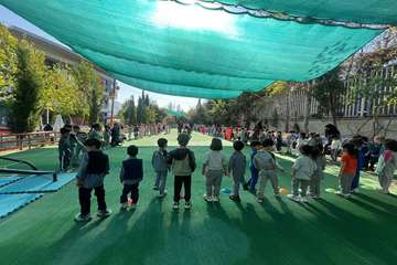 IMG_20261018_120529